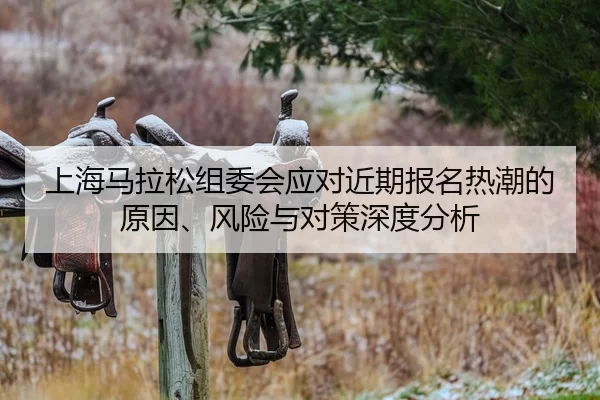 shang-hai-ma-la-song-zu-wei-hui-ying-dui-jin-qi-bao-ming-re-chao-de-yuan-yin-feng-xian-yu-dui-ce-shen-du-fen-xi-2-304.jpg