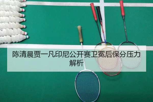 chen-qing-chen-jia-yi-fan-yin-ni-gong-kai-sai-wei-mian-hou-bao-fen-ya-li-jie-xi-2-334.jpg